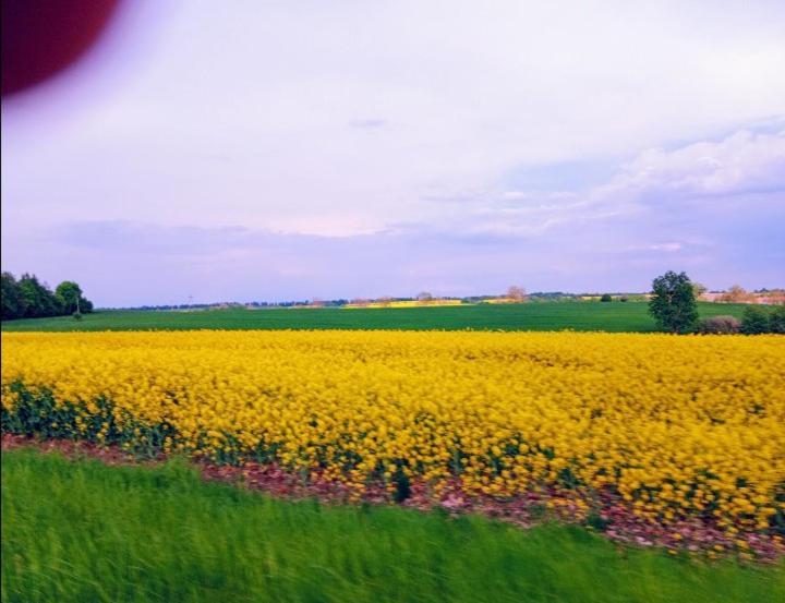 Nasy Holiday home Biskupiec (Olsztyn)